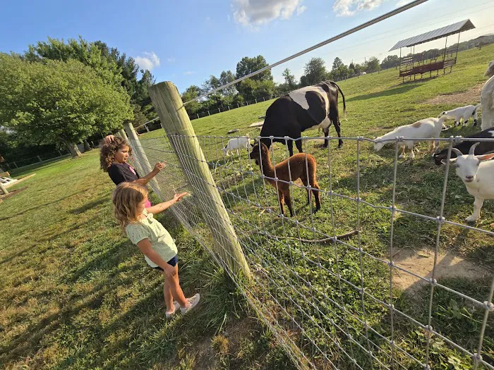 Hip Camp At Bellview Farm 9