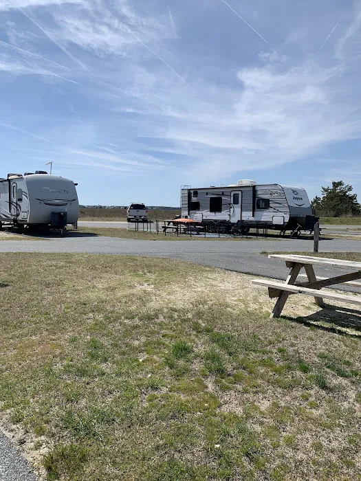 Delaware Seashore State Park South Campground 1