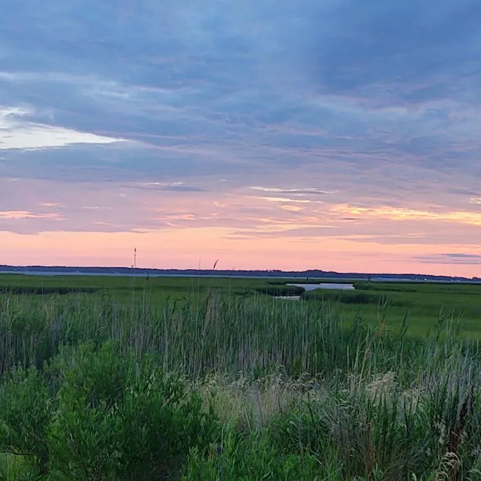 Delaware Seashore State Park South Campground 5