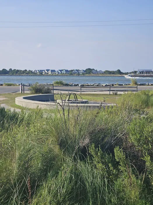 Delaware Seashore State Park South Campground 10