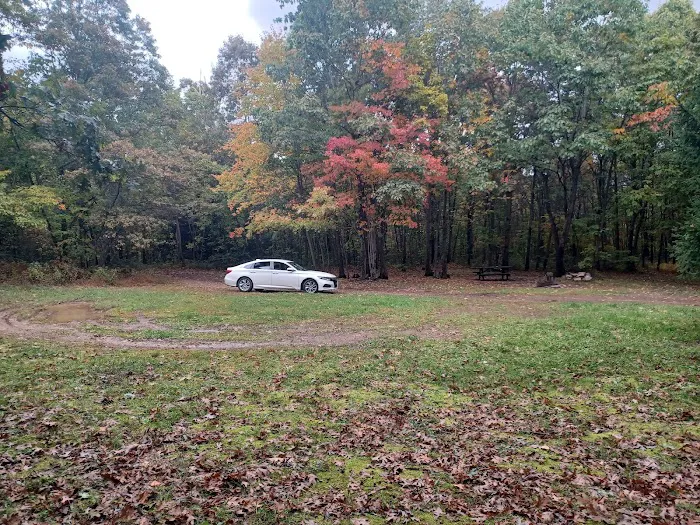 Campsite 81 Picture 1