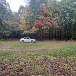 Campsite 81