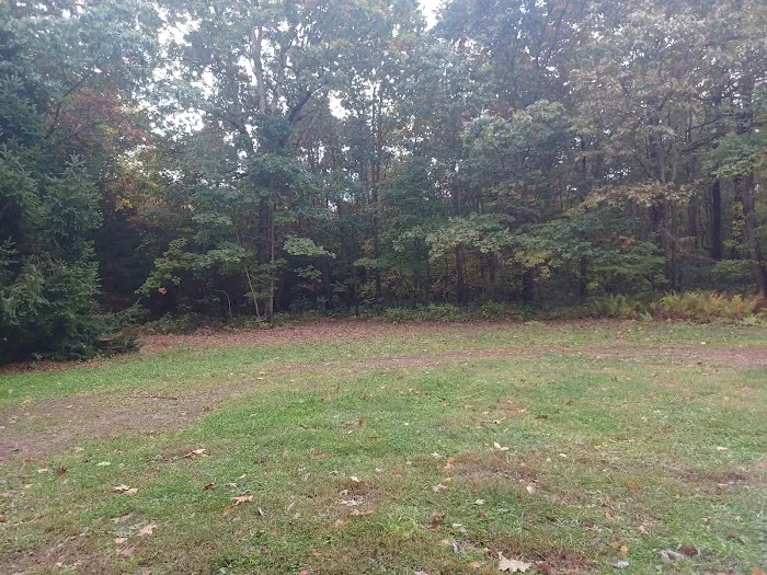 Campsite 81 Picture 4