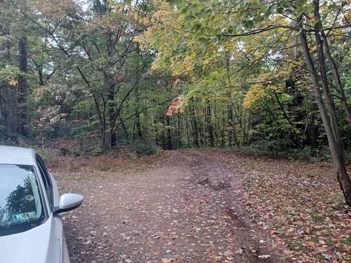 Campsite 81 Picture 3