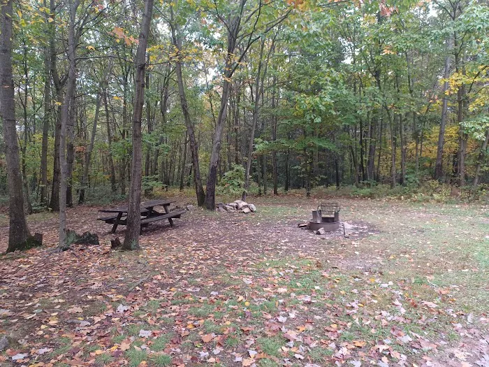 Campsite 81 Picture 6