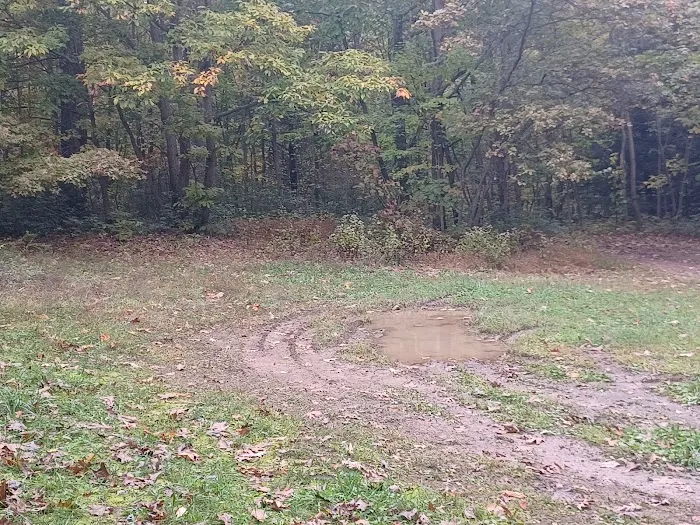 Campsite 81 Picture 5