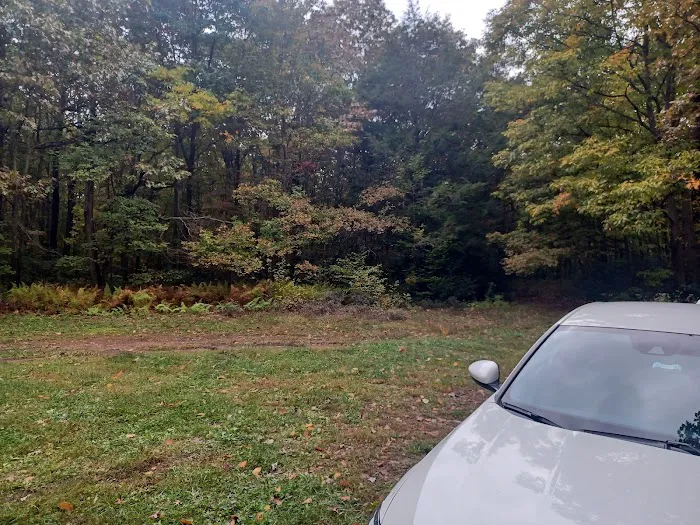 Campsite 81 Picture 2