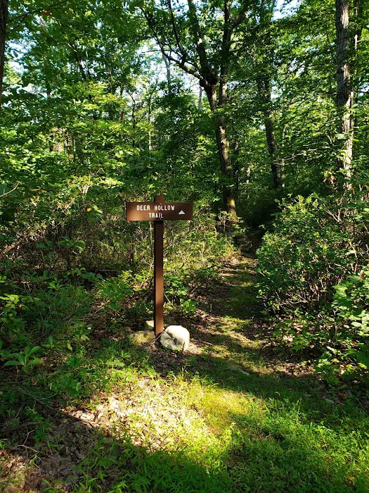 Campsite #86 Picture 4