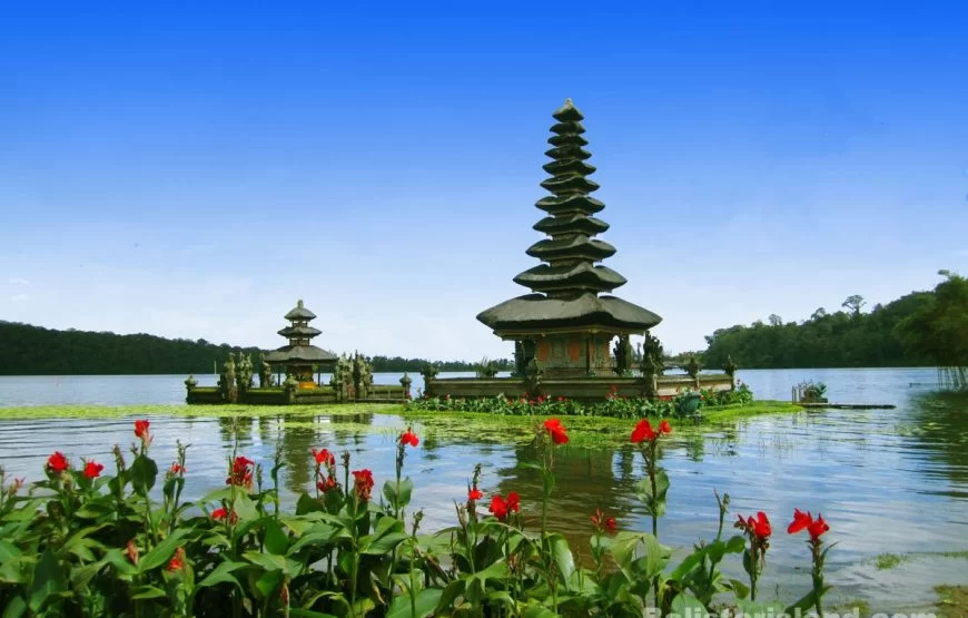 Family Travel Bali Indonesia Packages for Unforgettable Vacations
