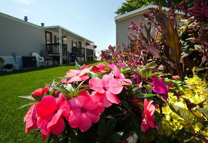 Chief Mobile Home Park 7
