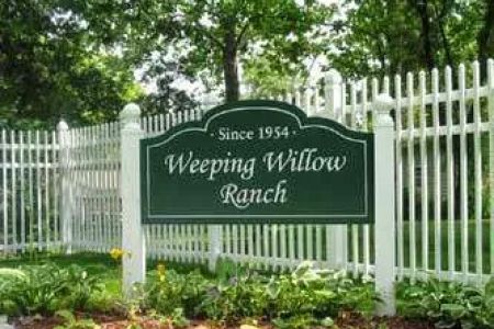 Weeping Willow Ranch