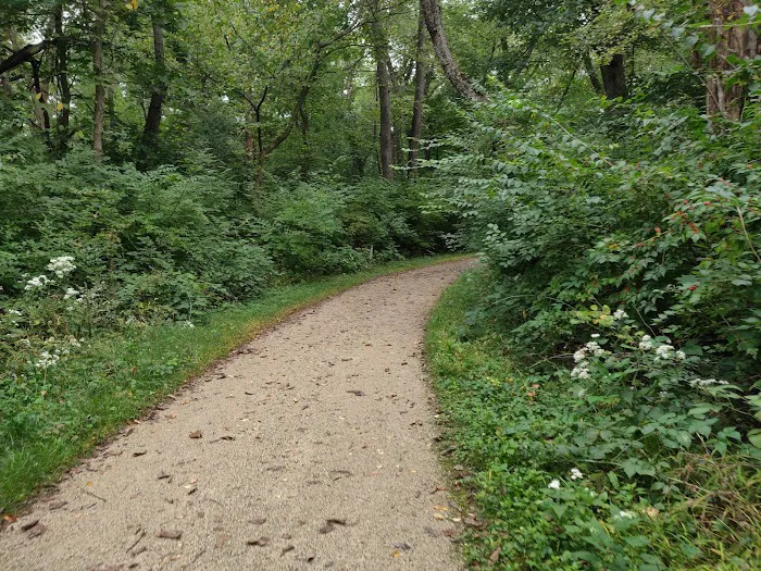 Camp Ground Road Woods 3