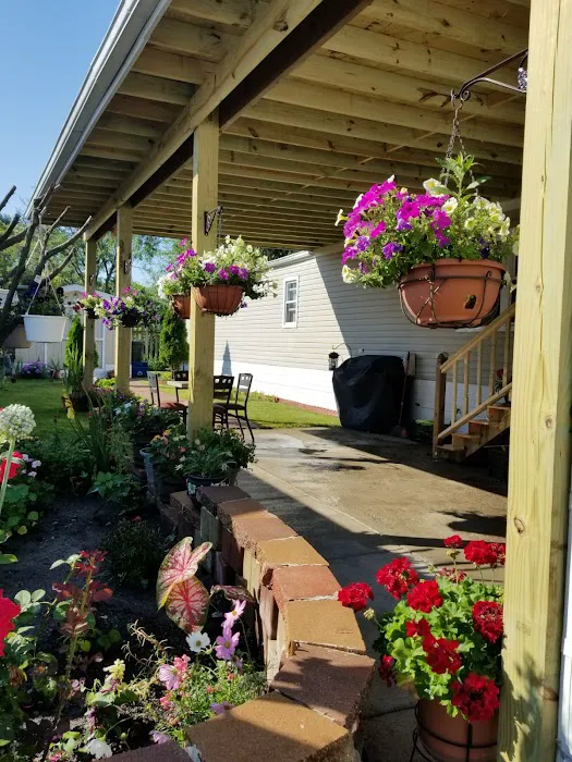 Oasis Mobile Home Park 3