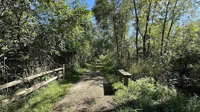 Camp Shabbona Woods 7
