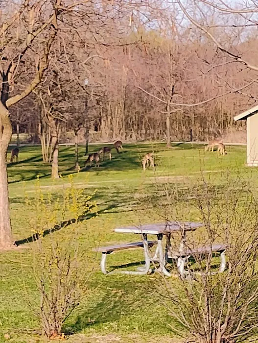 Camp Shabbona Woods 6
