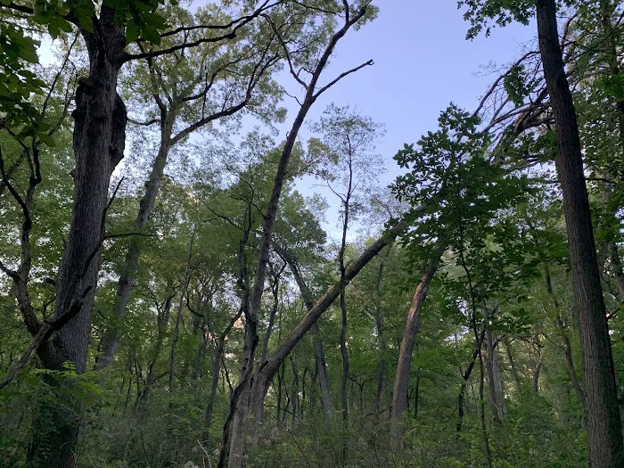 Greene Valley Campground 4