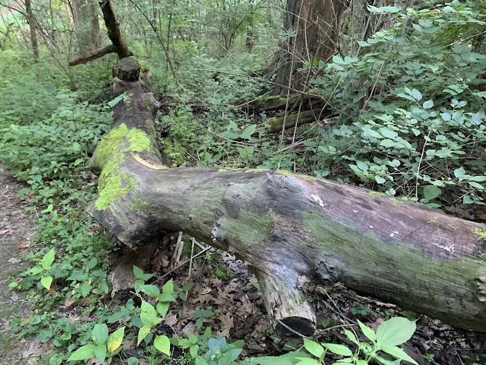 Greene Valley Campground 7