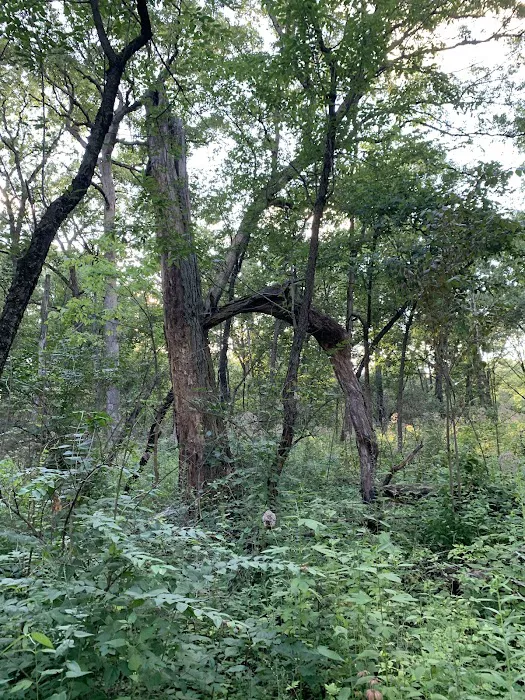 Greene Valley Campground 8