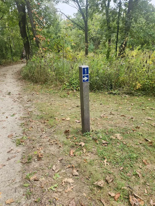 Camping Site 1 1