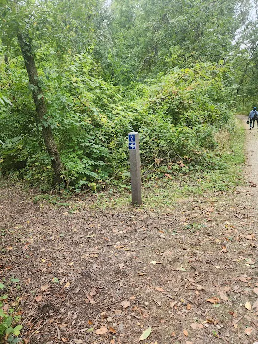 Camping Site 2 2