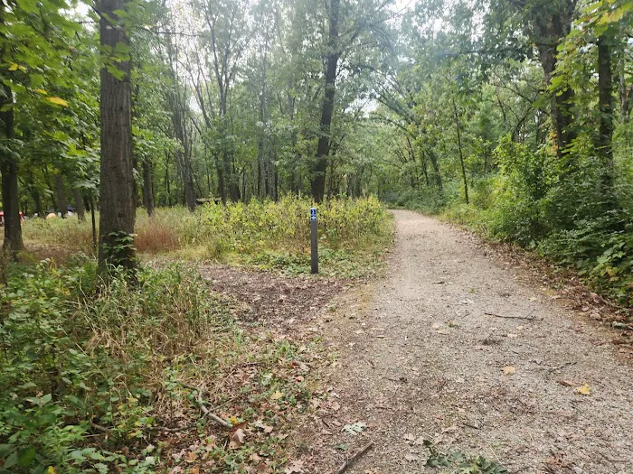 Camping Site 3 2