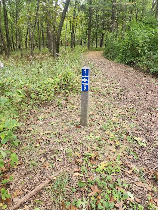 Camping Site 7 1