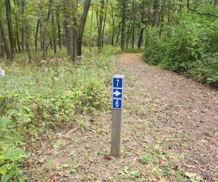Camping Site 7