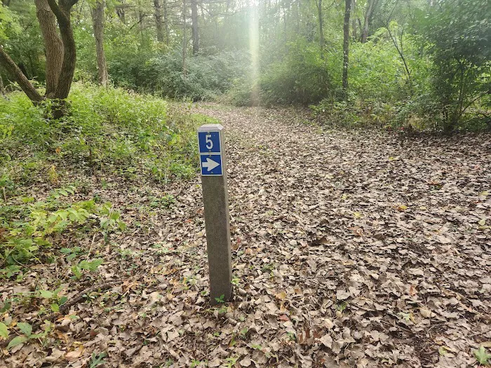 Camping Site 5 2