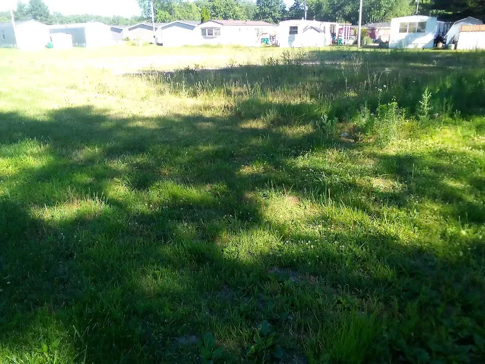 Ravinia Pines 10