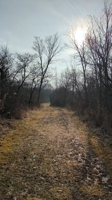 Goodenow Grove Nature Preserve Camping Pod 2