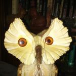 Breazeale Trailer Park