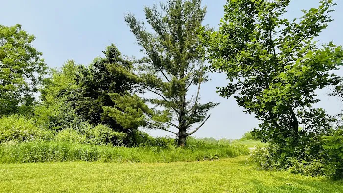 Camp Tomo-Chi-Chi Knolls 1