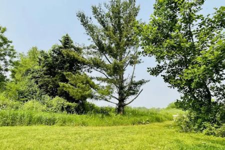 Camp Tomo-Chi-Chi Knolls