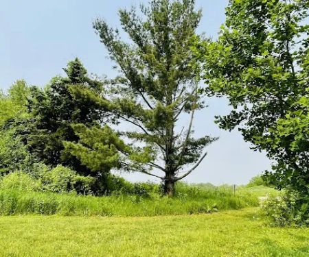 Camp Tomo-Chi-Chi Knolls