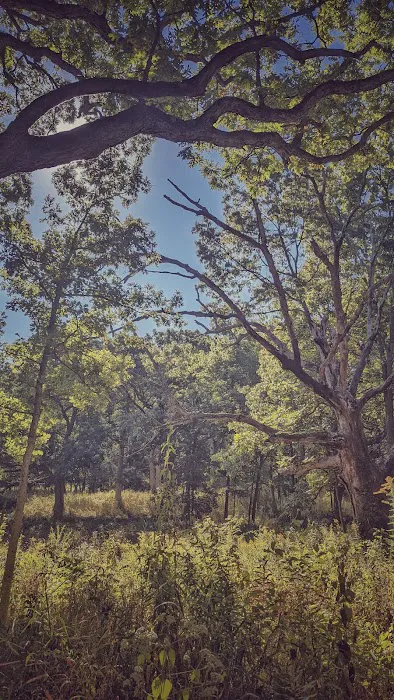 Camp Tomo-Chi-Chi Knolls 10