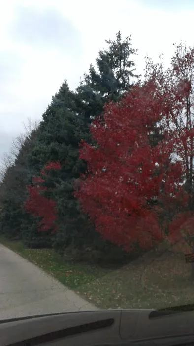 Woodland Mobile Home Park 1