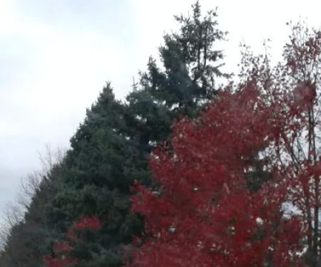 Woodland Mobile Home Park