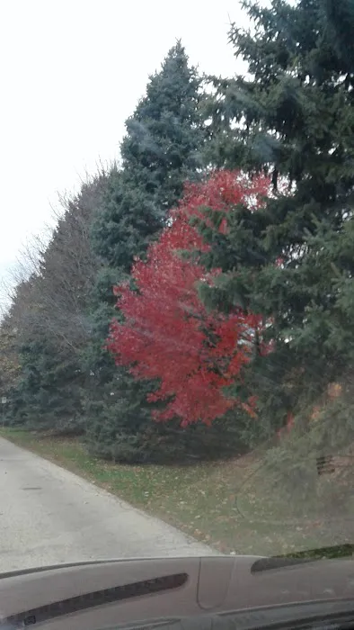 Woodland Mobile Home Park 2
