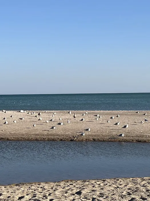 Illinois Beach State Park Campground 4