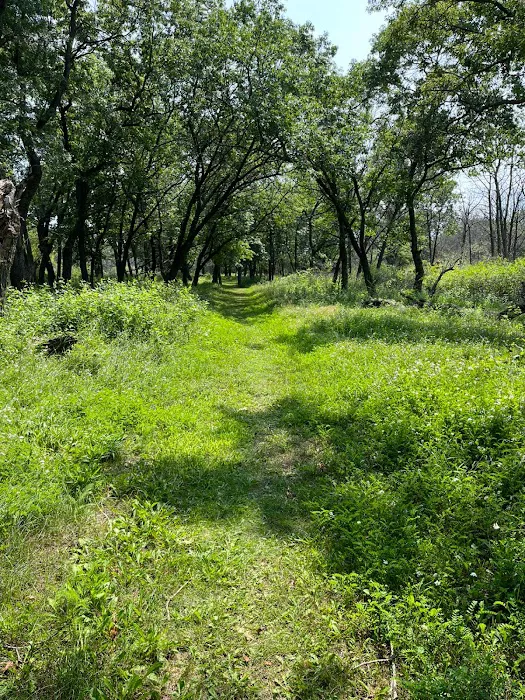 Illinois Beach State Park Campground 5