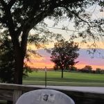 Sunny Acres