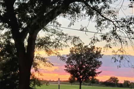 Sunny Acres