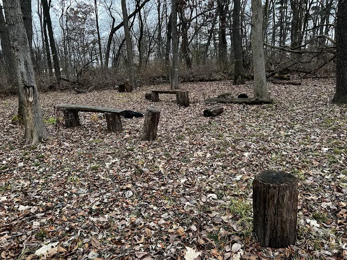 Sherman R Cook Memorial Scout Park (Cook Woods) 2