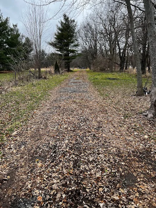 Sherman R Cook Memorial Scout Park (Cook Woods) 1