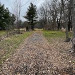 Sherman R Cook Memorial Scout Park (Cook Woods)