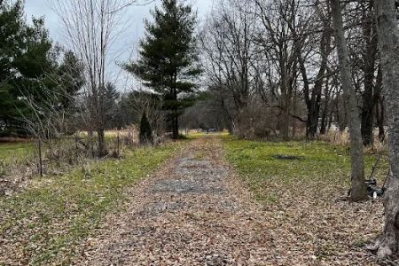 Sherman R Cook Memorial Scout Park (Cook Woods)