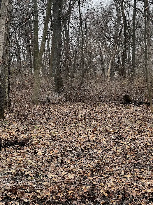 Sherman R Cook Memorial Scout Park (Cook Woods) 4