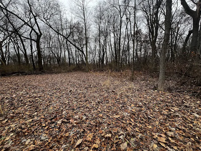 Sherman R Cook Memorial Scout Park (Cook Woods) 5
