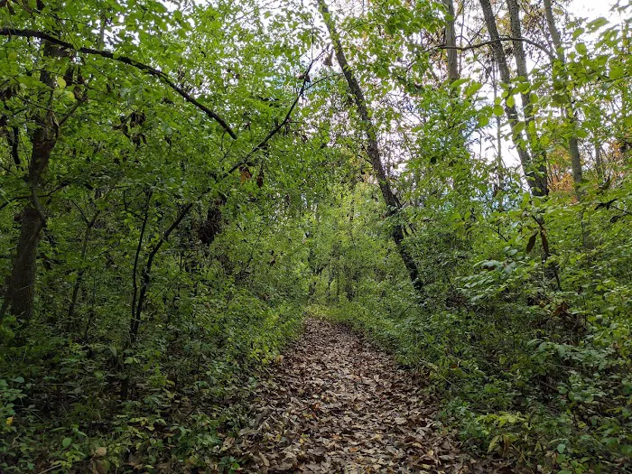 Mudlake West Youth Group Camping Area, Chain O' Lakes State Park 2