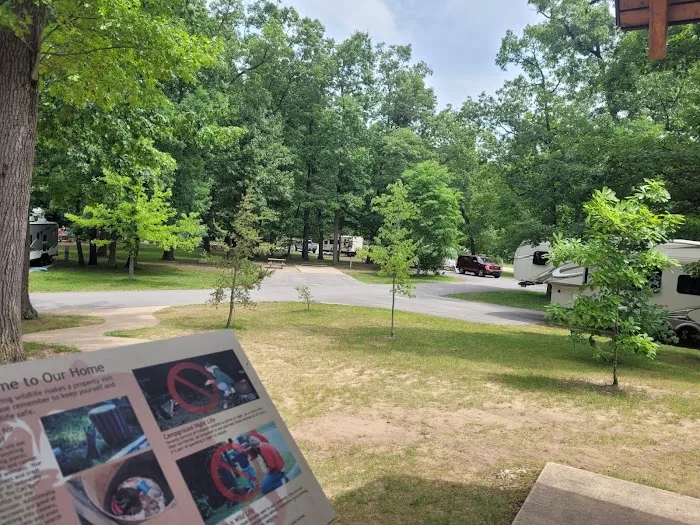Electric Campground 2